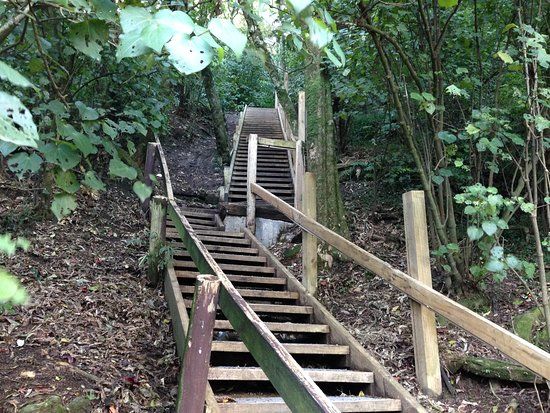 Bledisloe Park Walkway